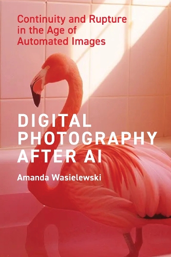 Digital Photography After AI
