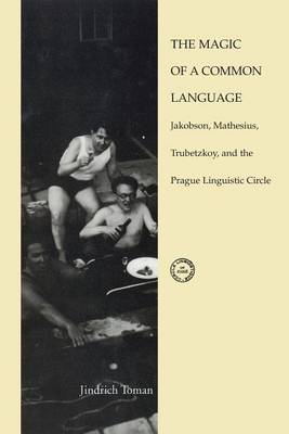 The Magic of a Common Language