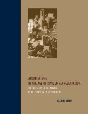 Architecture in the Age of Divided Representation