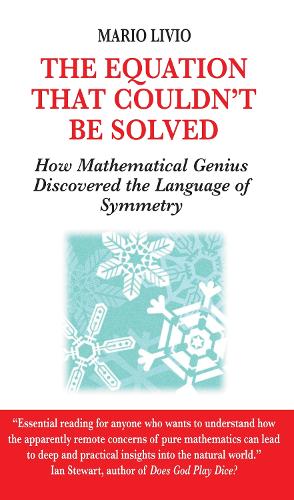 Equation That Couldn't be Solved