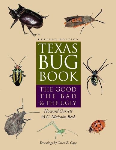 Texas Bug Book