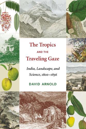 The Tropics and the Traveling Gaze