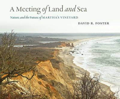A Meeting of Land and Sea