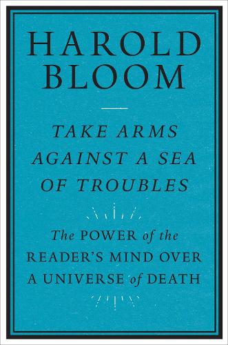 Take Arms Against a Sea of Troubles
