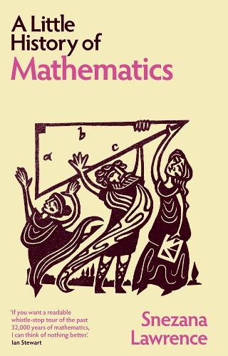 A Little History of Mathematics by Snezana Lawrence