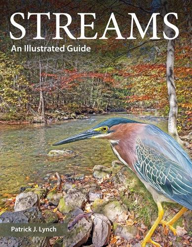 Streams
