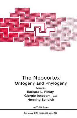 The Neocortex