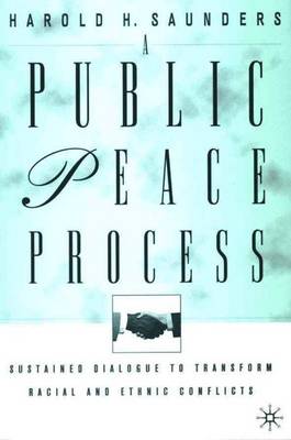 A Public Peace Process