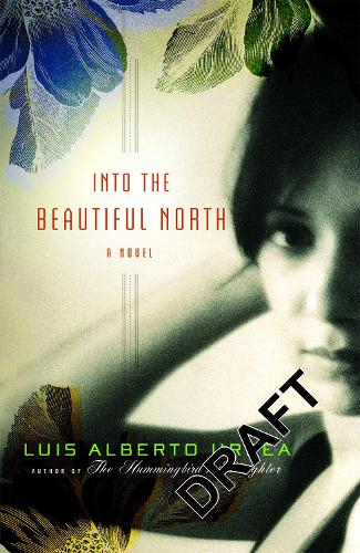 Into The Beautiful North