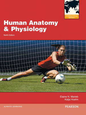 Human Anatomy & Physiology