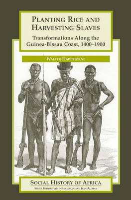 Planting Rice and Harvesting Slaves
