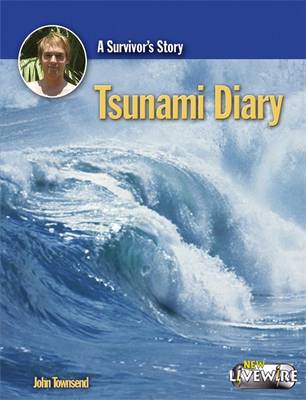 Tsunami Diary