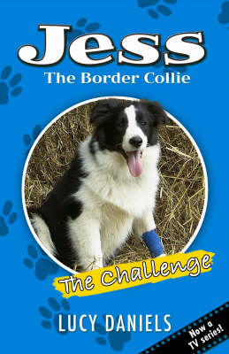 The Challenge