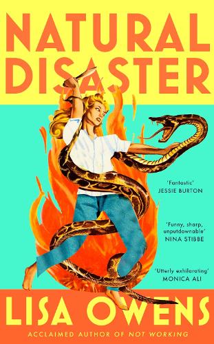 Natural Disaster by Lisa Owens