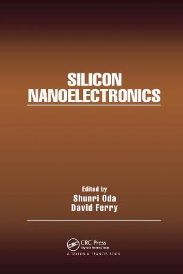 Silicon Nanoelectronics