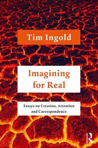 Imagining for Real