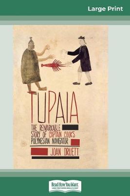 Tupaia