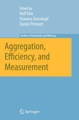 Aggregation, Efficiency, and Measurement