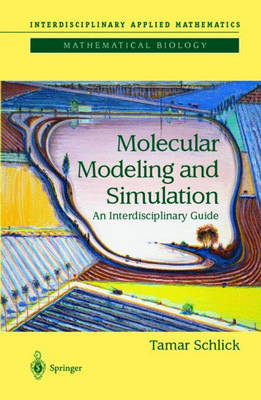 Molecular Modeling and Simulation