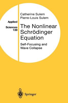 The Nonlinear Schrödinger Equation