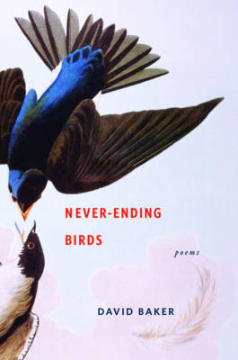 Never-Ending Birds