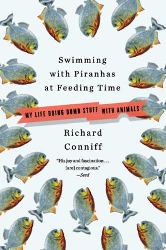 Swimming with Piranhas at Feeding Time