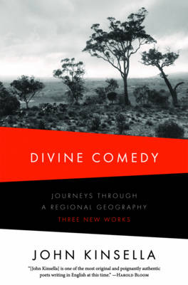 Divine Comedy
