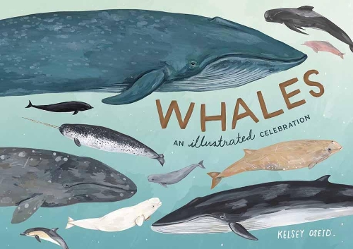 Whales by Kelsey Oseid