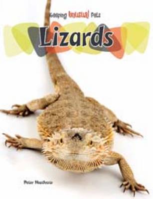 Lizards