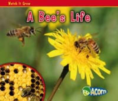 A Bee's Life