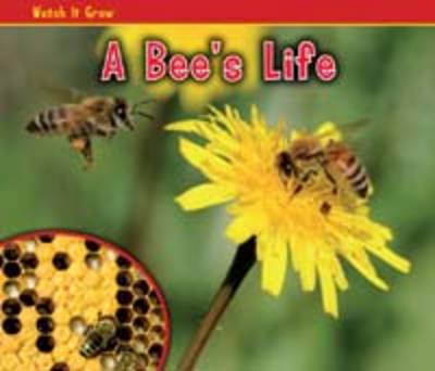 A Bee's Life