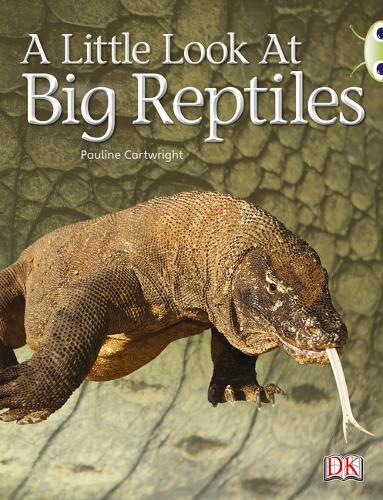 Bug Club Non-fiction Blue (KS1) B/1B A Little Look of Reptiles 6-pack
