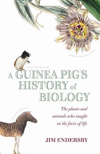 A Guinea Pig's History Of Biology