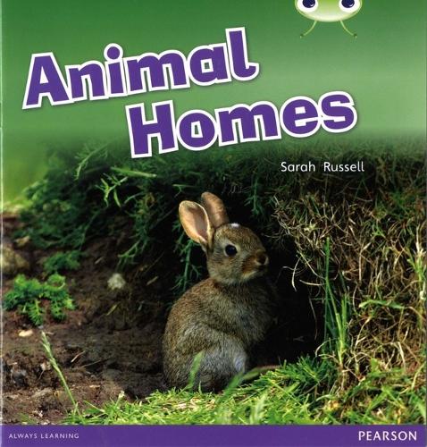 Bug Club Pink B Animal Homes 6-pack