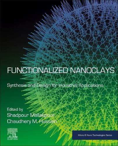Functionalized Nanoclays