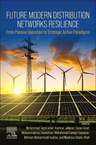 Future Modern Distribution Networks Resilience