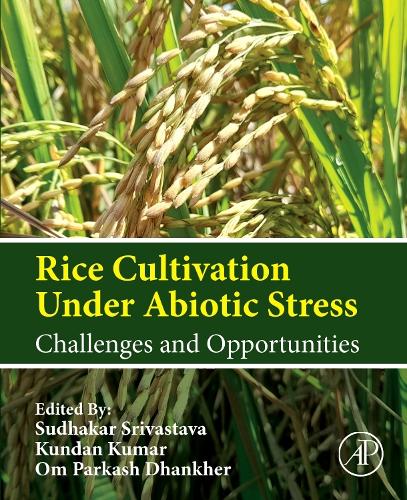 Rice Cultivation Under Abiotic Stress