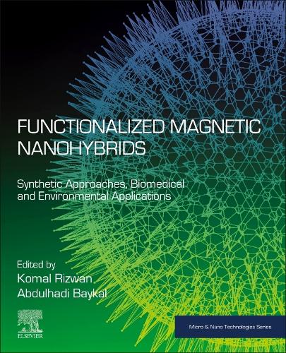 Functionalized Magnetic Nanohybrids