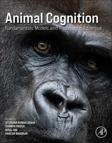 Animal Cognition