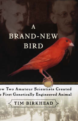 A Brand New Bird