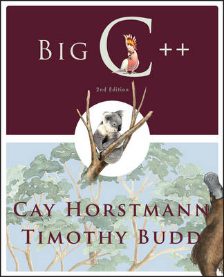 Big C++
