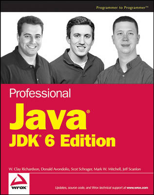 Professional Java JDK