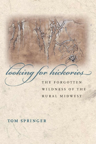 Looking for Hickories