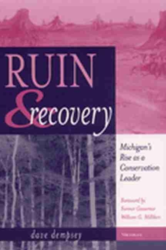 Ruin and Recovery