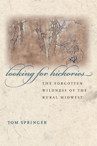 Looking for Hickories