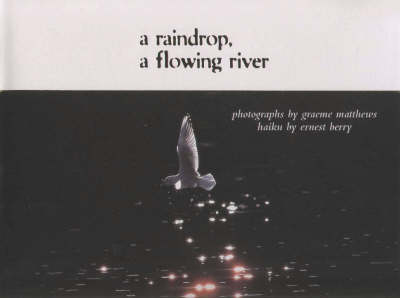 A Raindrop, a Flowing River