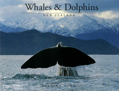 Whales and Dolphins New Zealand