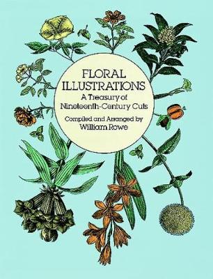 Floral Illustrations