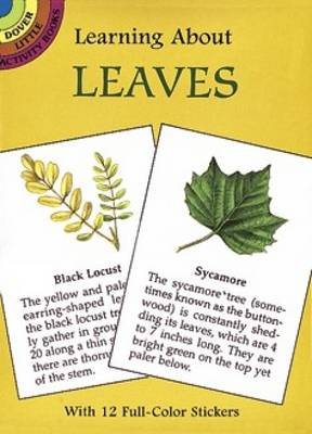 Learning about Leaves