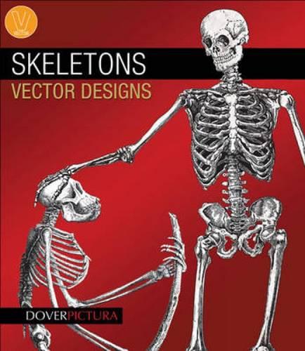 Skeletons Vector Designs